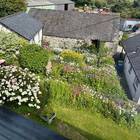 Staylittle Farm Dolgellau Zewnętrze zdjęcie